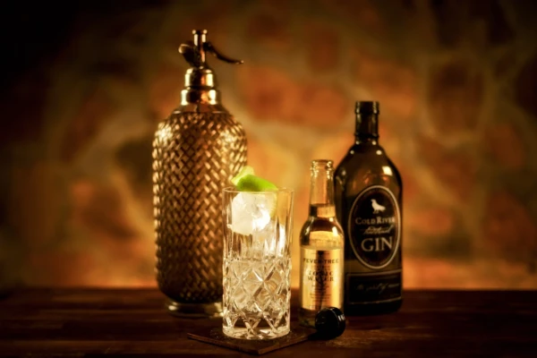 Gin Tasting workshop