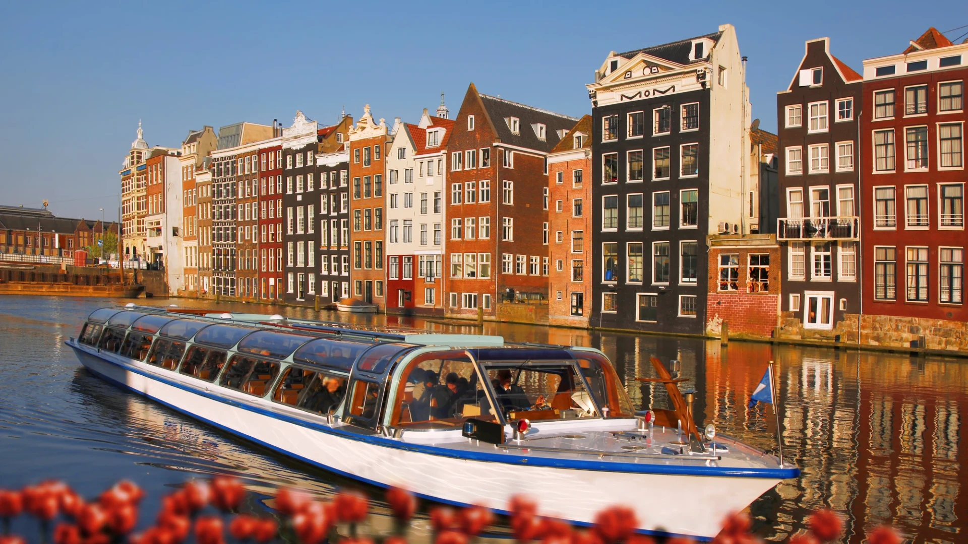Amsterdams Best!